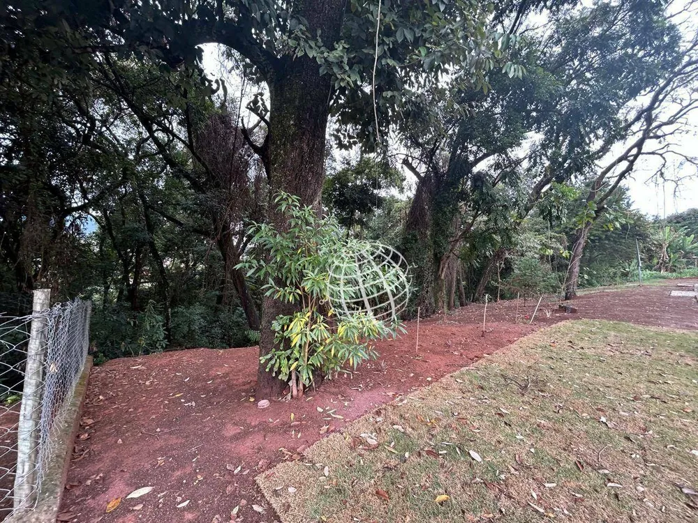 Terreno, 650 m² - Foto 2