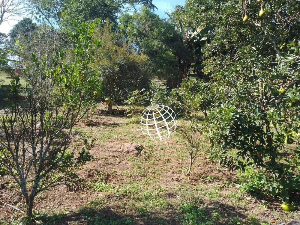 Chácara, 4 quartos, 4301 m² - Foto 11