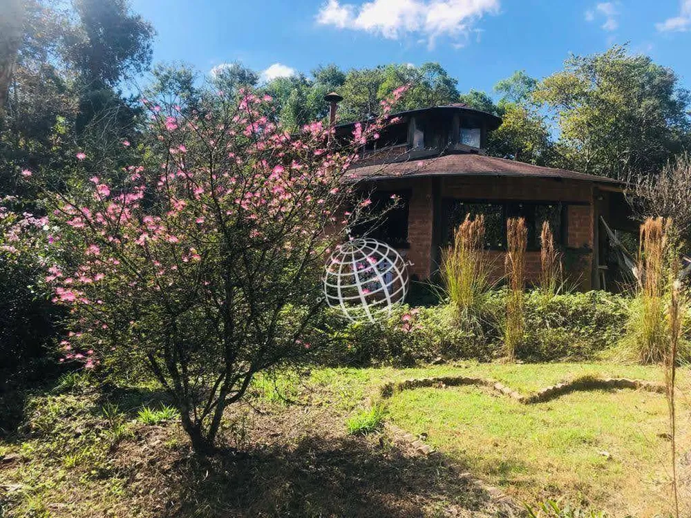 Chácara, 2 quartos, 4800 m² - Foto 11