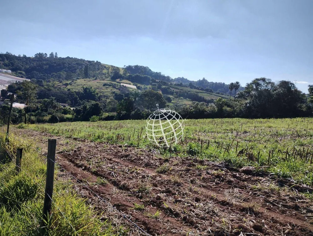 Terreno, 2 hectares - Foto 3