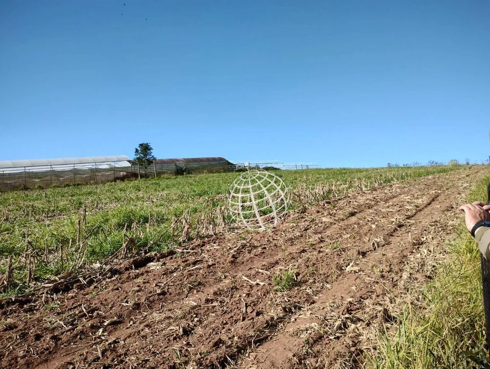 Terreno, 2 hectares - Foto 4