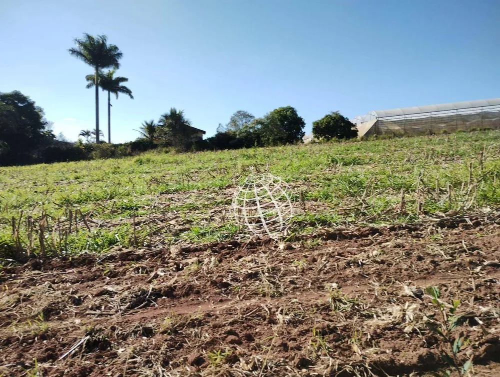 Terreno, 2 hectares - Foto 2