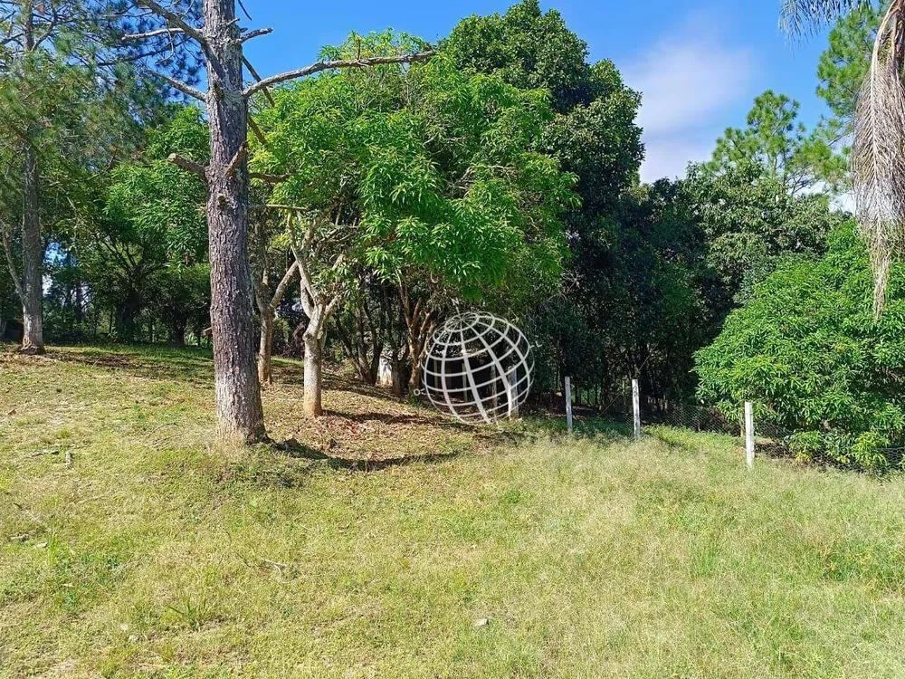 Chácara, 3 quartos, 9000 m² - Foto 5