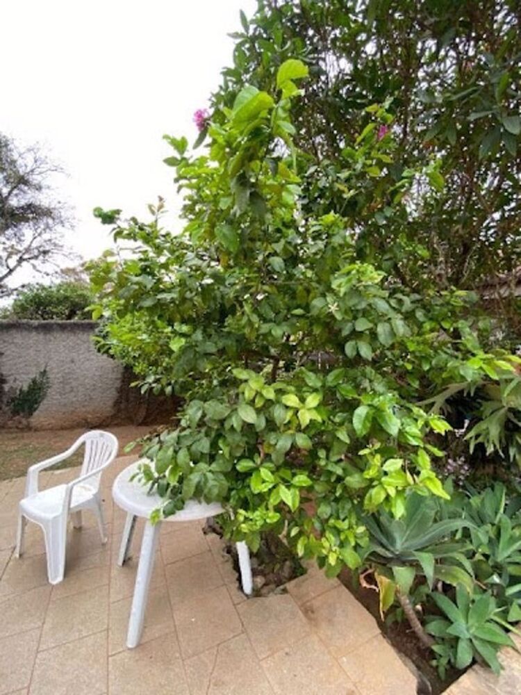 Casa, 3 quartos, 210 m² - Foto 9