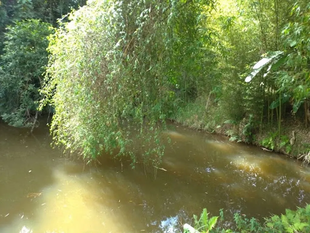 Chácara, 3 quartos, 1 hectares - Foto 16
