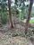 Terreno, 360 m² - Foto 4