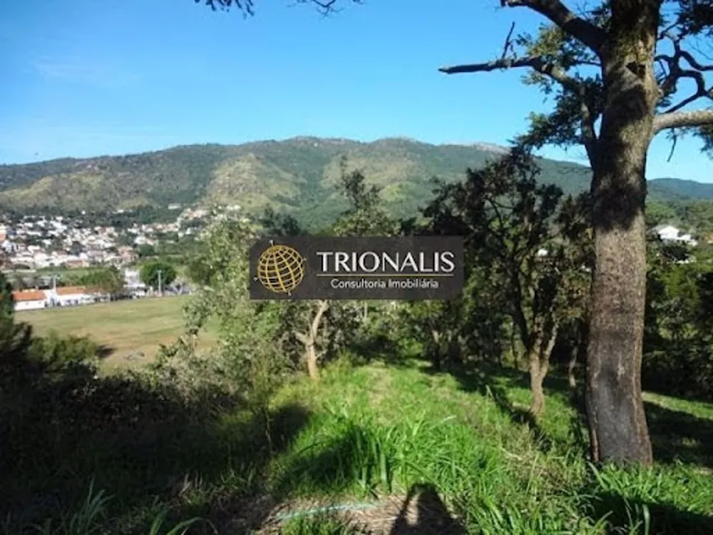 Terreno, 3100 m² - Foto 3
