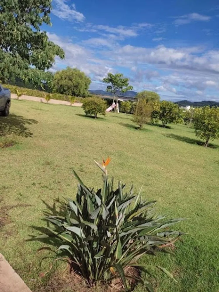 Loteamento e Condomínio, 1000 m² - Foto 4