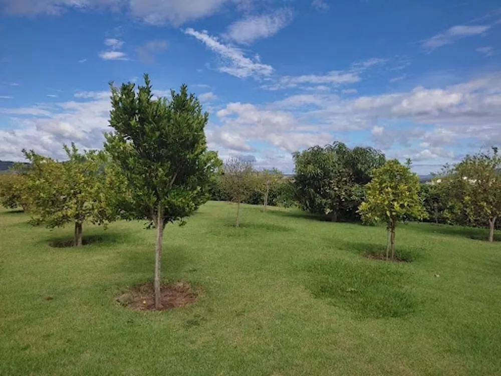 Loteamento e Condomínio, 1000 m² - Foto 3