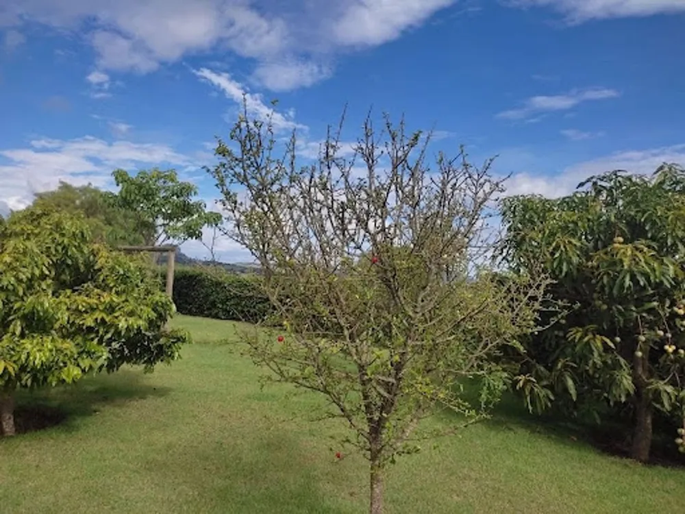 Loteamento e Condomínio, 1000 m² - Foto 6