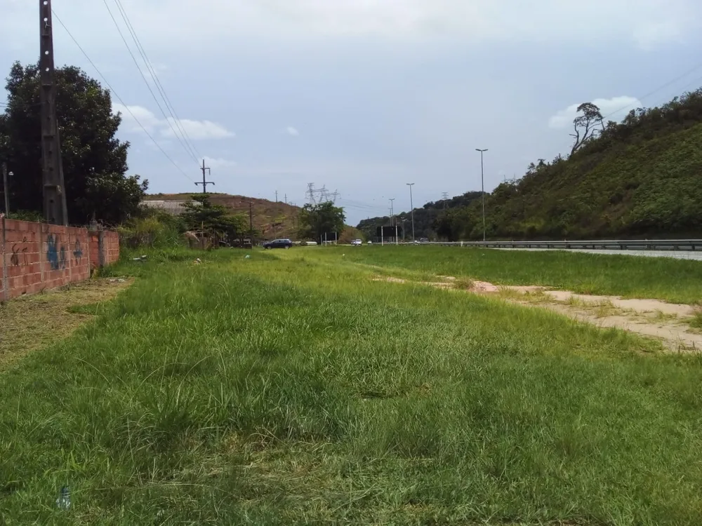 Depósito-Galpão - Foto 5