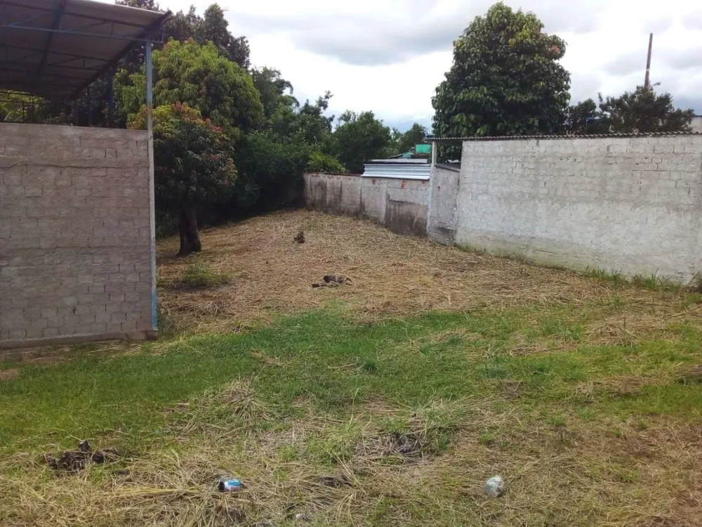 Depósito-Galpão - Foto 7