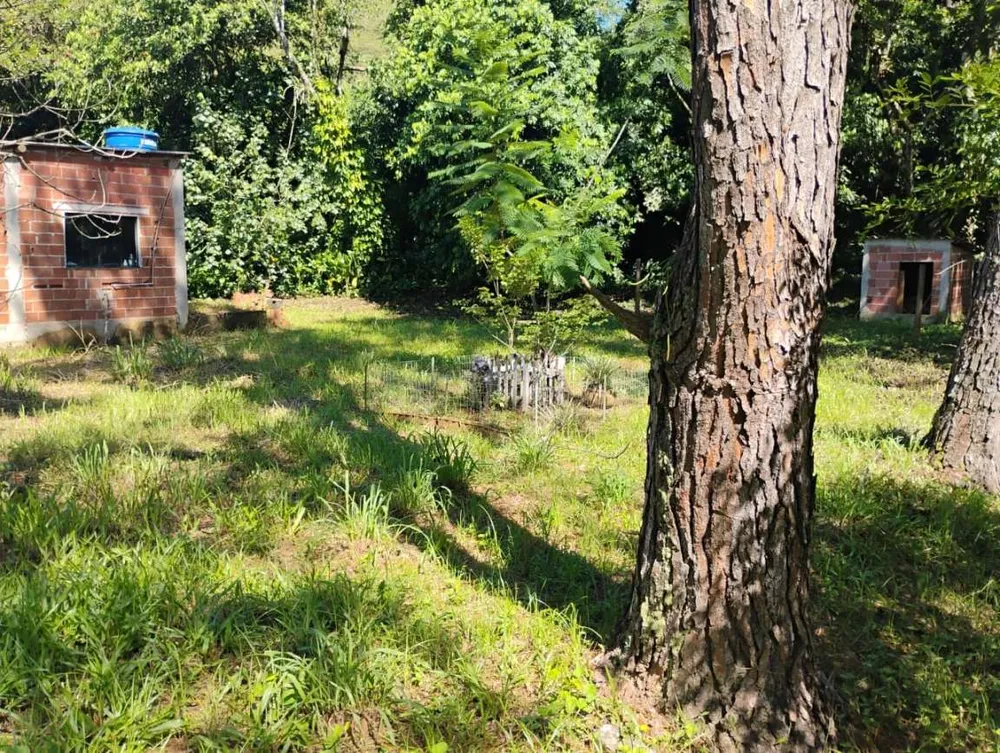 Sítio, 3 quartos, 1 hectares - Foto 47