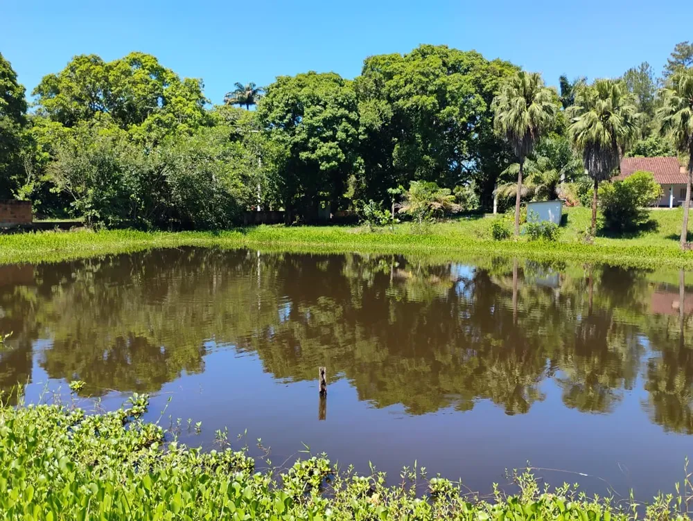 Sítio, 3 quartos, 1 hectares - Foto 43