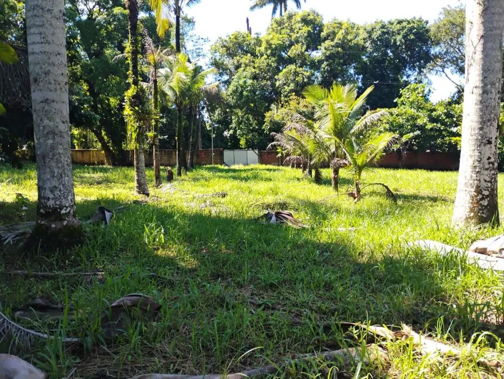 Sítio, 3 quartos, 1 hectares - Foto 34