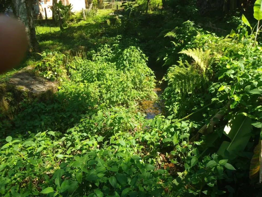 Terreno, 600 m² - Foto 3