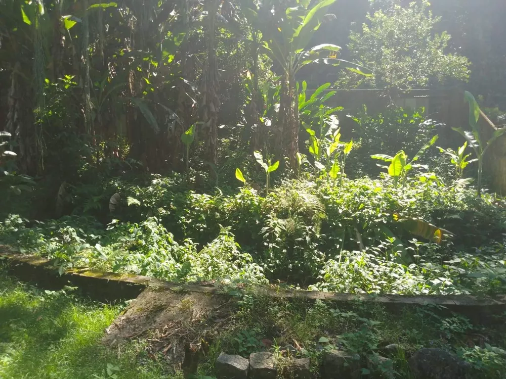 Terreno, 600 m² - Foto 2