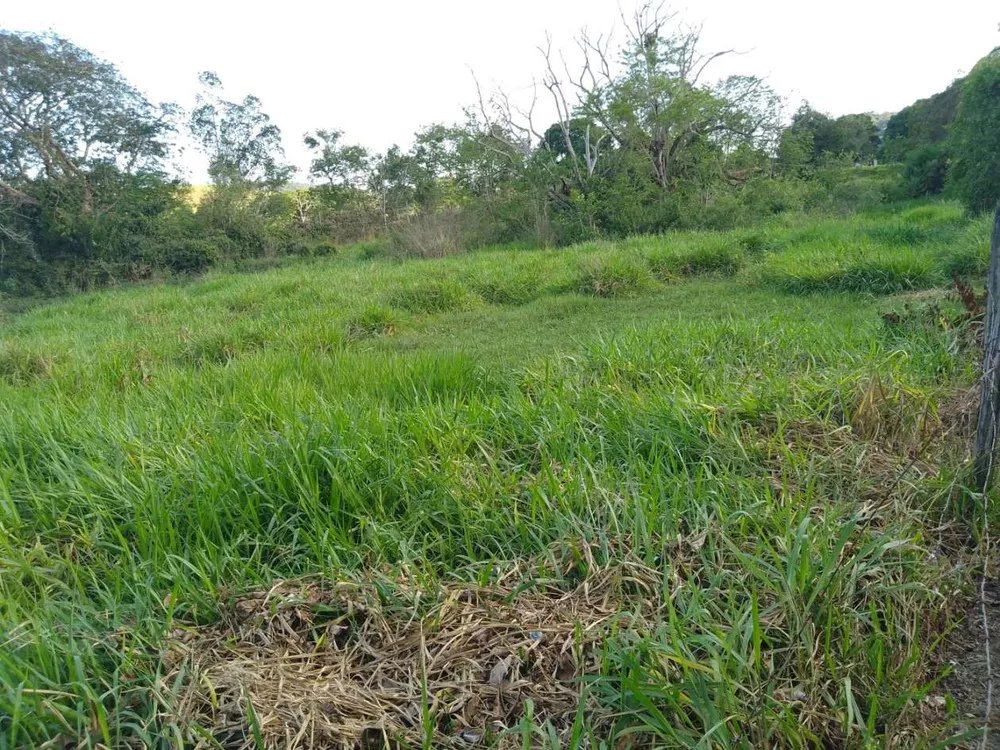 Sítio, 3 quartos, 4 hectares - Foto 41