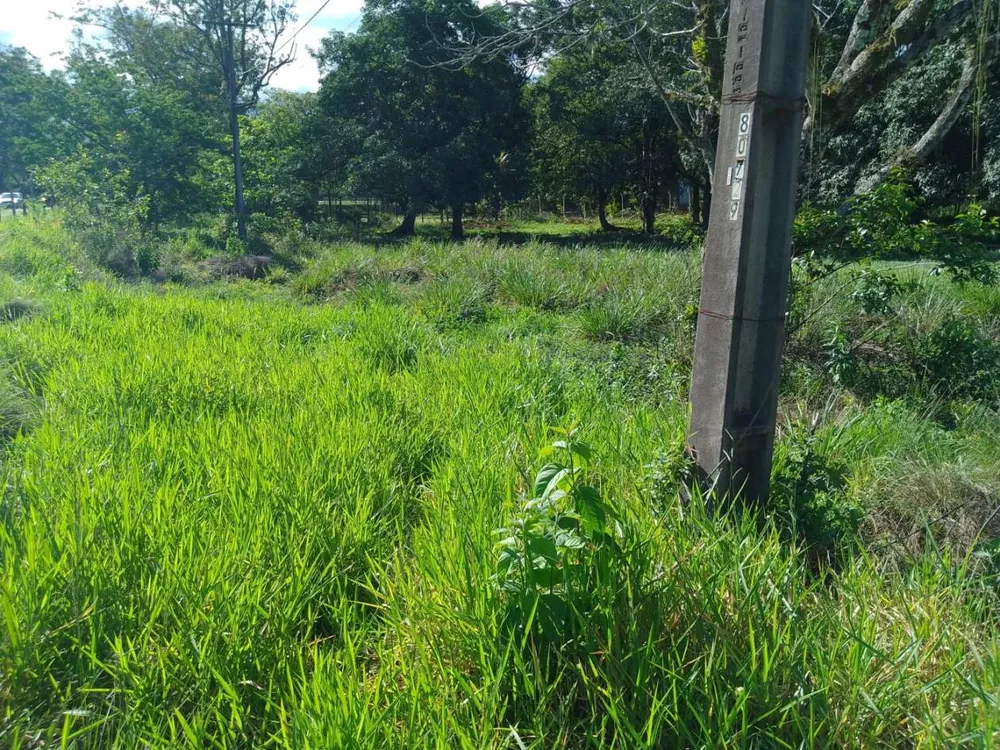 Sítio, 3 quartos, 4 hectares - Foto 11