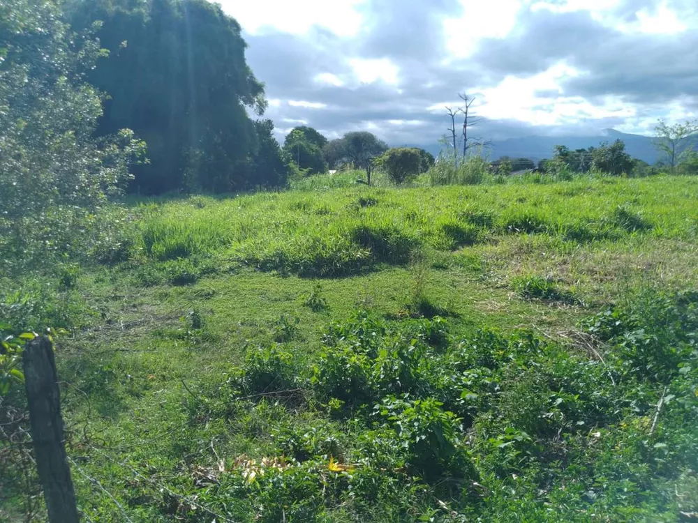 Sítio, 3 quartos, 4 hectares - Foto 22