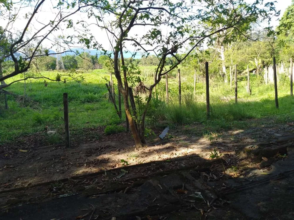 Sítio, 3 quartos, 4 hectares - Foto 28