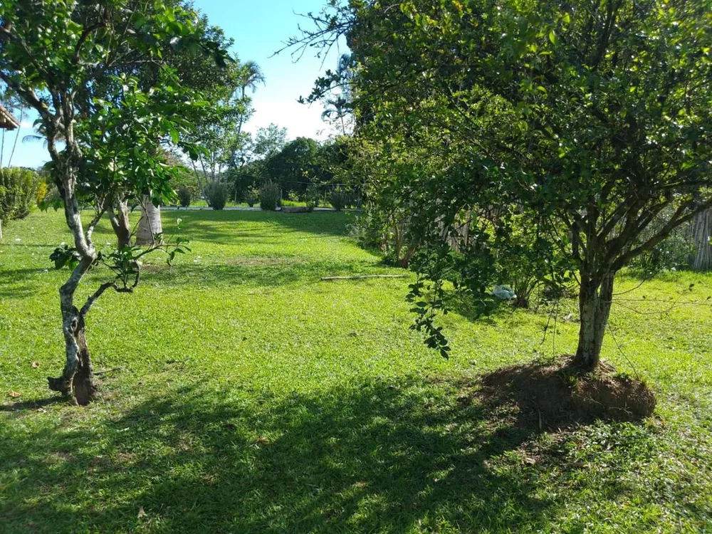 Sítio, 3 quartos, 4 hectares - Foto 19