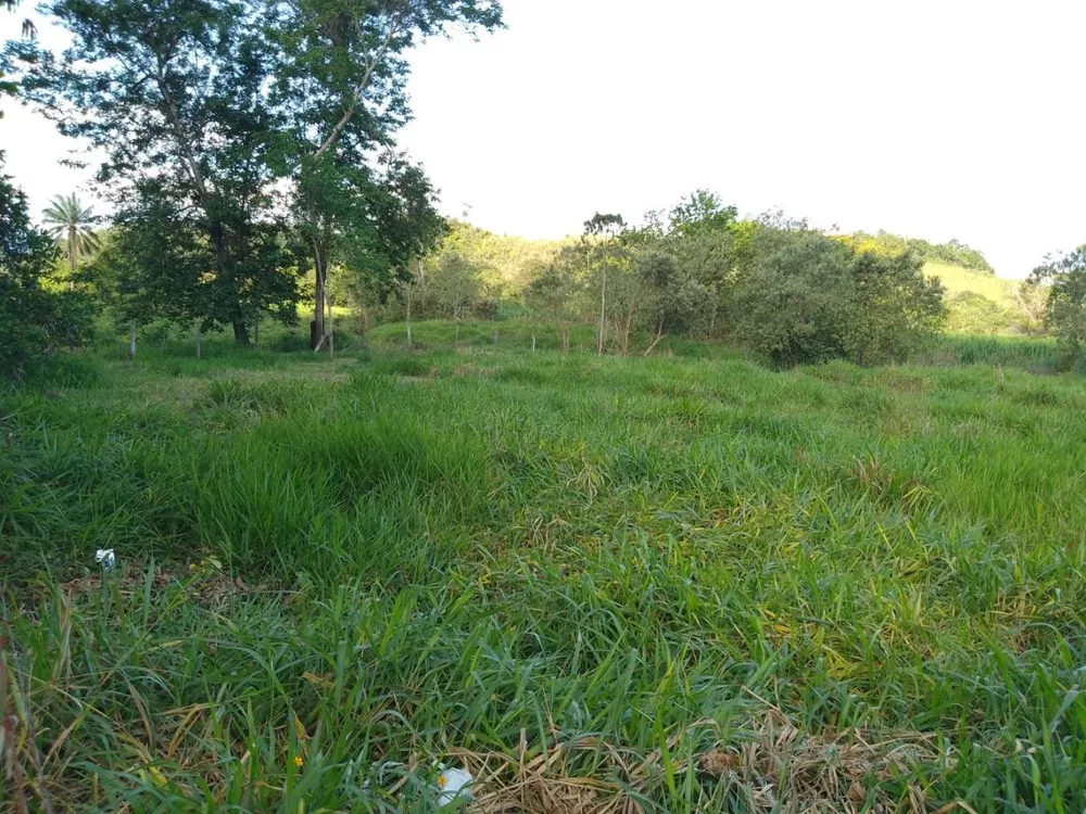 Sítio, 3 quartos, 4 hectares - Foto 39