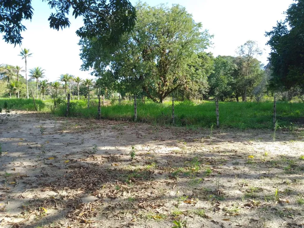 Sítio, 3 quartos, 4 hectares - Foto 25