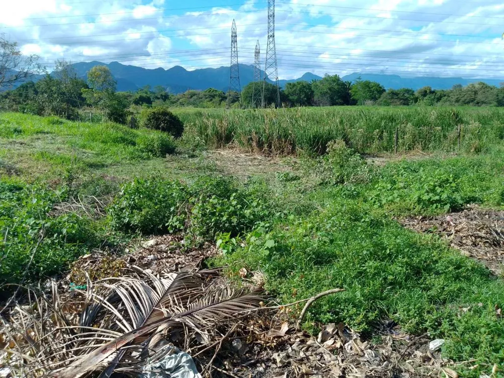 Sítio, 3 quartos, 4 hectares - Foto 21