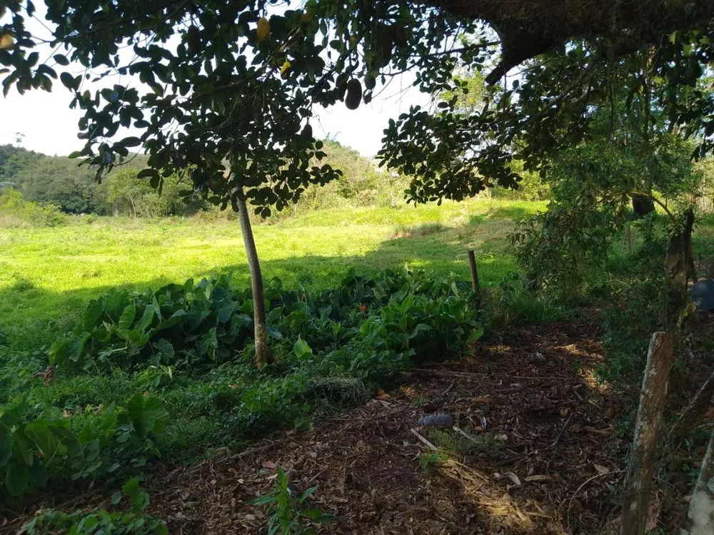 Sítio, 3 quartos, 4 hectares - Foto 14