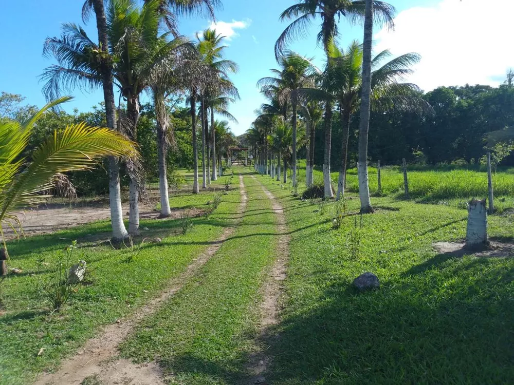 Sítio, 3 quartos, 4 hectares - Foto 10