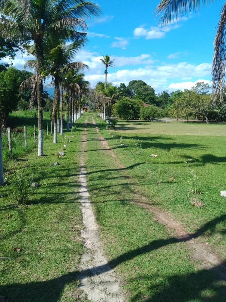 Sítio, 3 quartos, 4 hectares - Foto 8