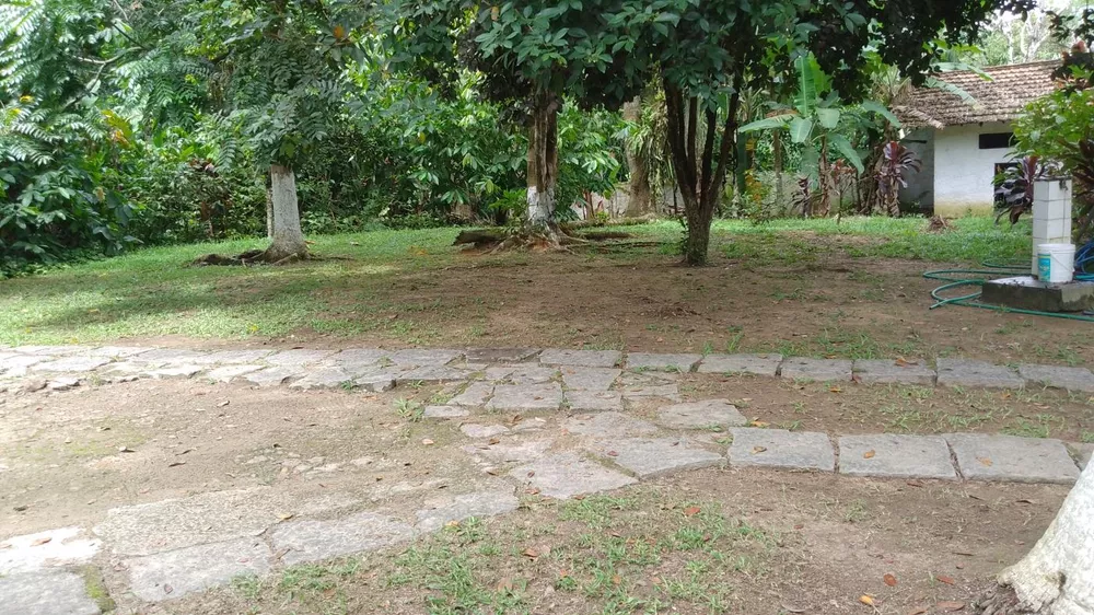 Sítio, 10000 m² - Foto 5