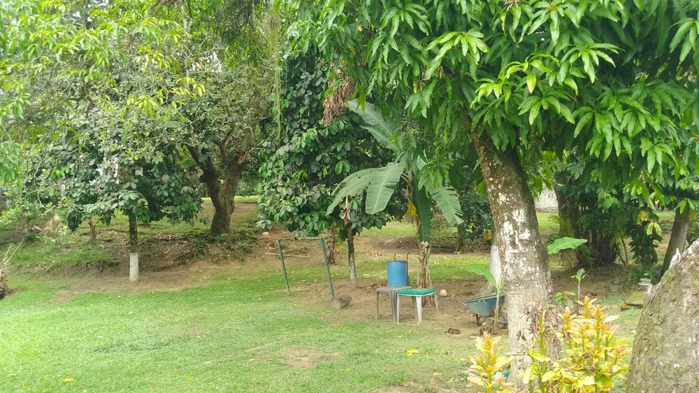 Sítio, 10000 m² - Foto 31