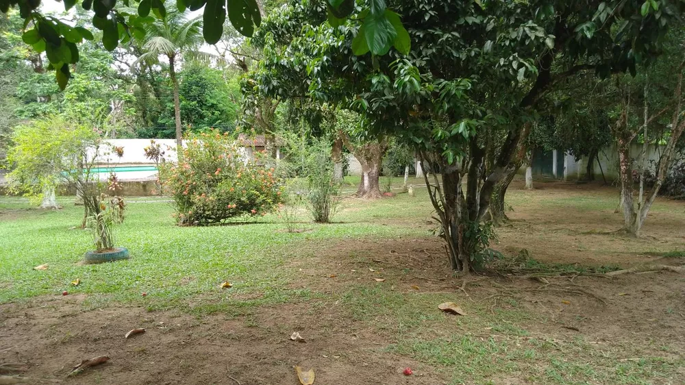 Sítio, 10000 m² - Foto 17