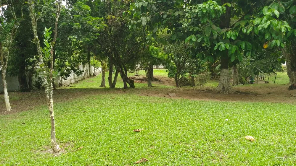 Sítio, 10000 m² - Foto 18