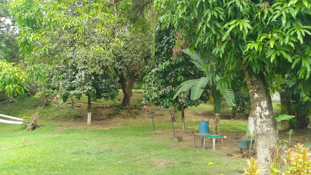 Sítio, 10000 m² - Foto 28