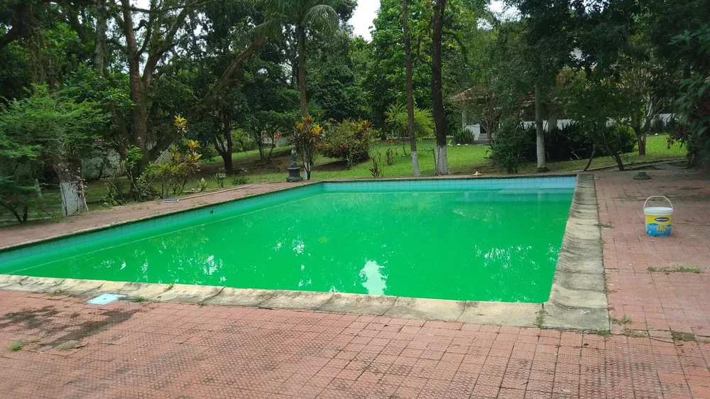 Sítio, 10000 m² - Foto 9