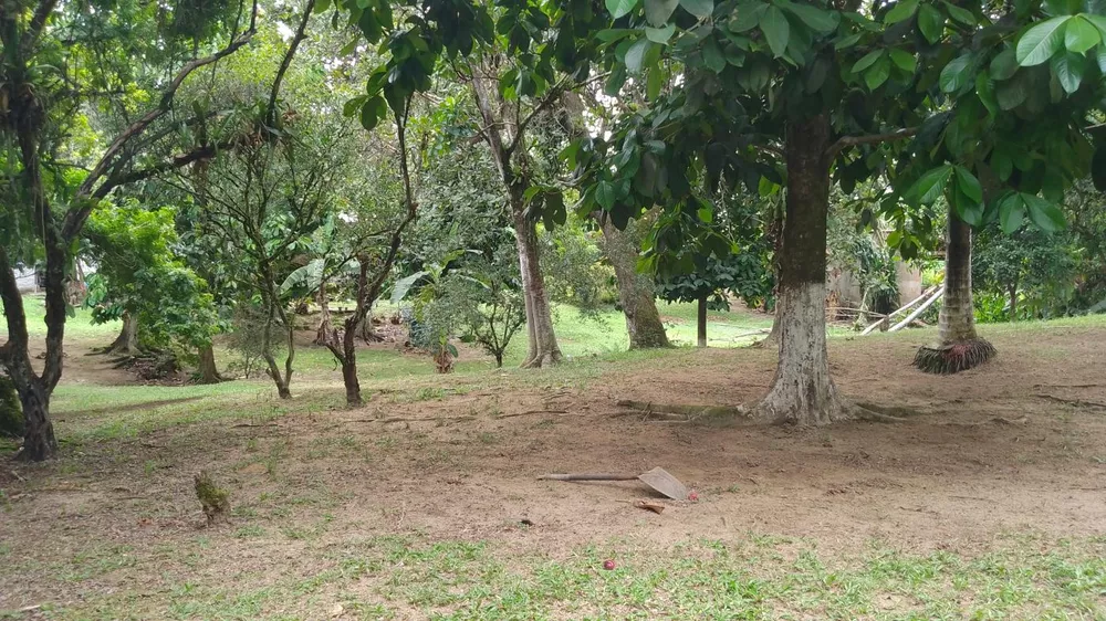 Sítio, 10000 m² - Foto 19