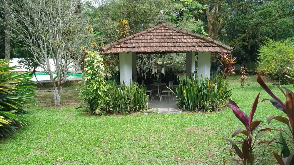 Sítio, 10000 m² - Foto 3