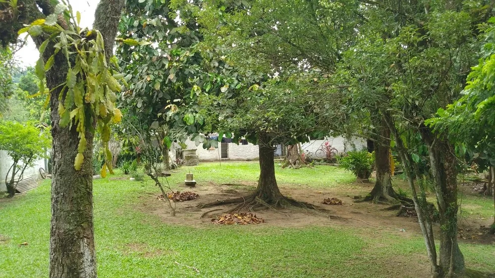 Sítio, 10000 m² - Foto 24