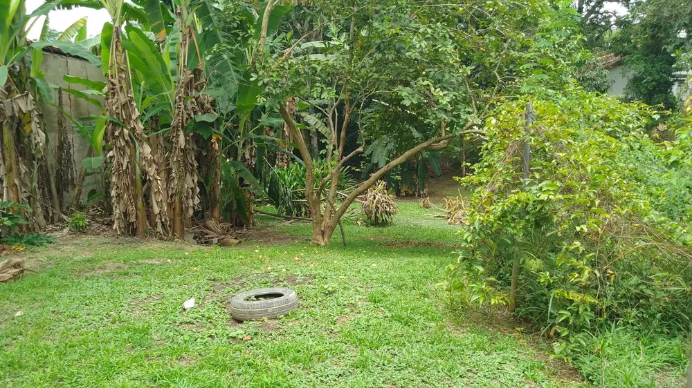 Sítio, 10000 m² - Foto 32