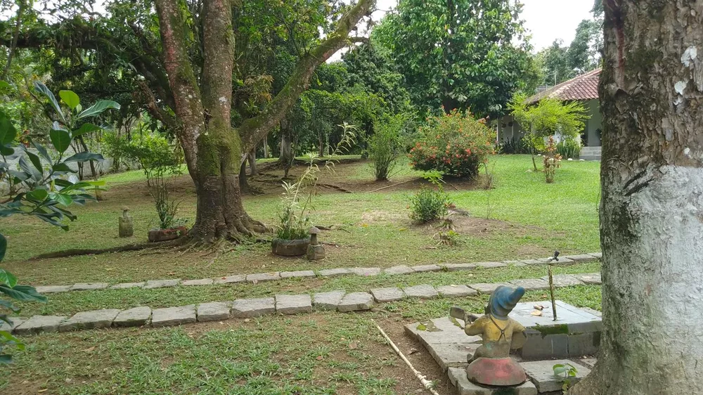 Sítio, 10000 m² - Foto 13