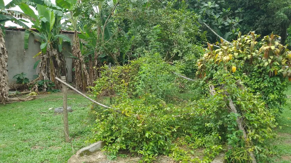 Sítio, 10000 m² - Foto 27