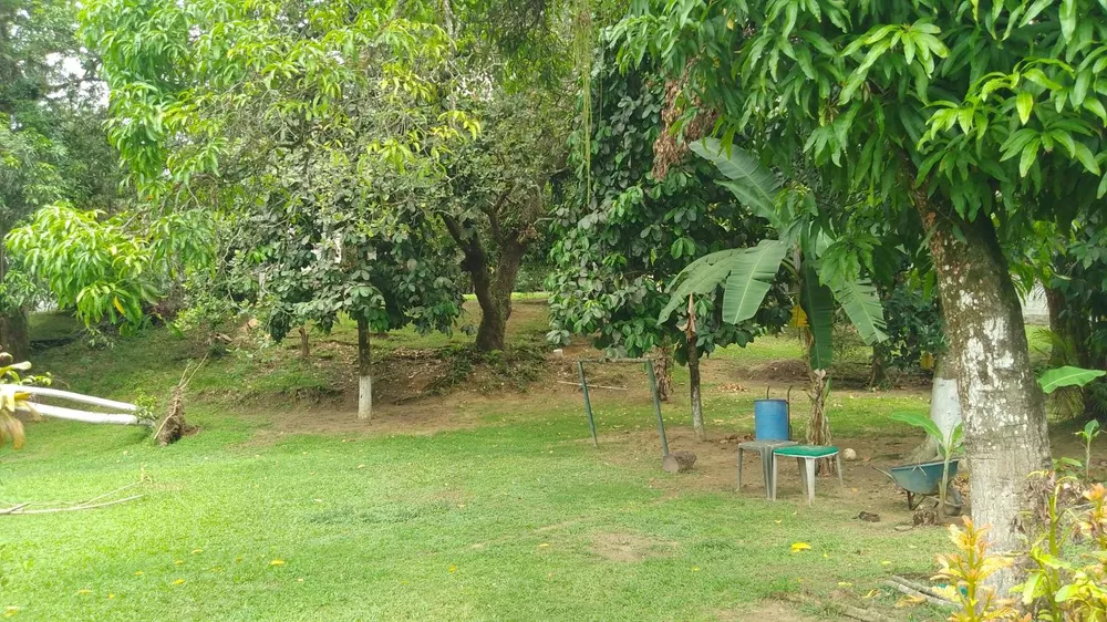 Sítio, 10000 m² - Foto 29