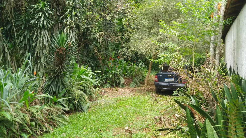 Sítio, 10000 m² - Foto 2