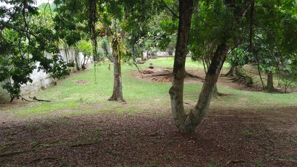 Sítio, 10000 m² - Foto 20