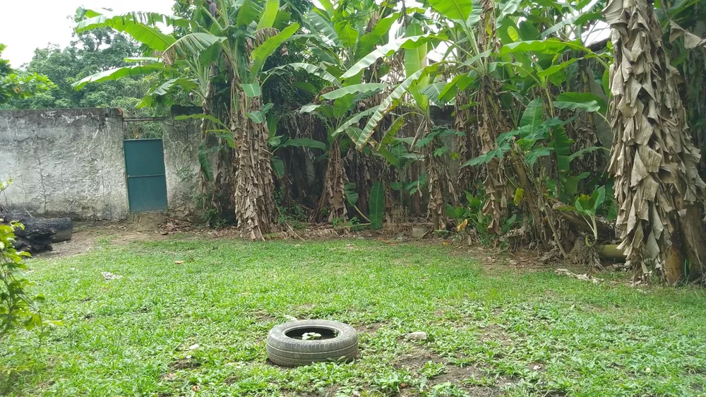 Sítio, 10000 m² - Foto 33