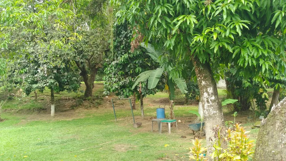 Sítio, 10000 m² - Foto 30