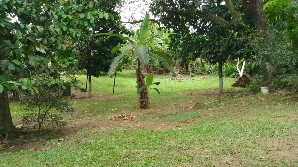 Sítio, 10000 m² - Foto 25